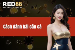 Cách đánh bài câu cá - Hướng dẫn cho người mới bắt đầu